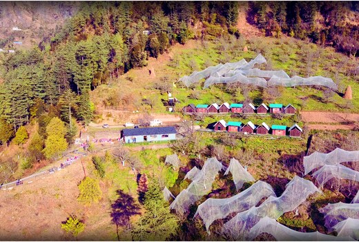 Apple Retreat Resort