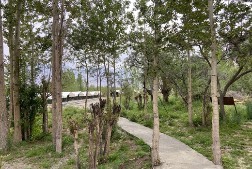 Ladakh Mountain Escape Camp