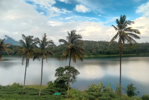 Wayanad Lake View Cottage Banasura