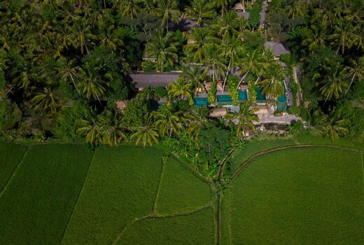 Ubud Padi Villa