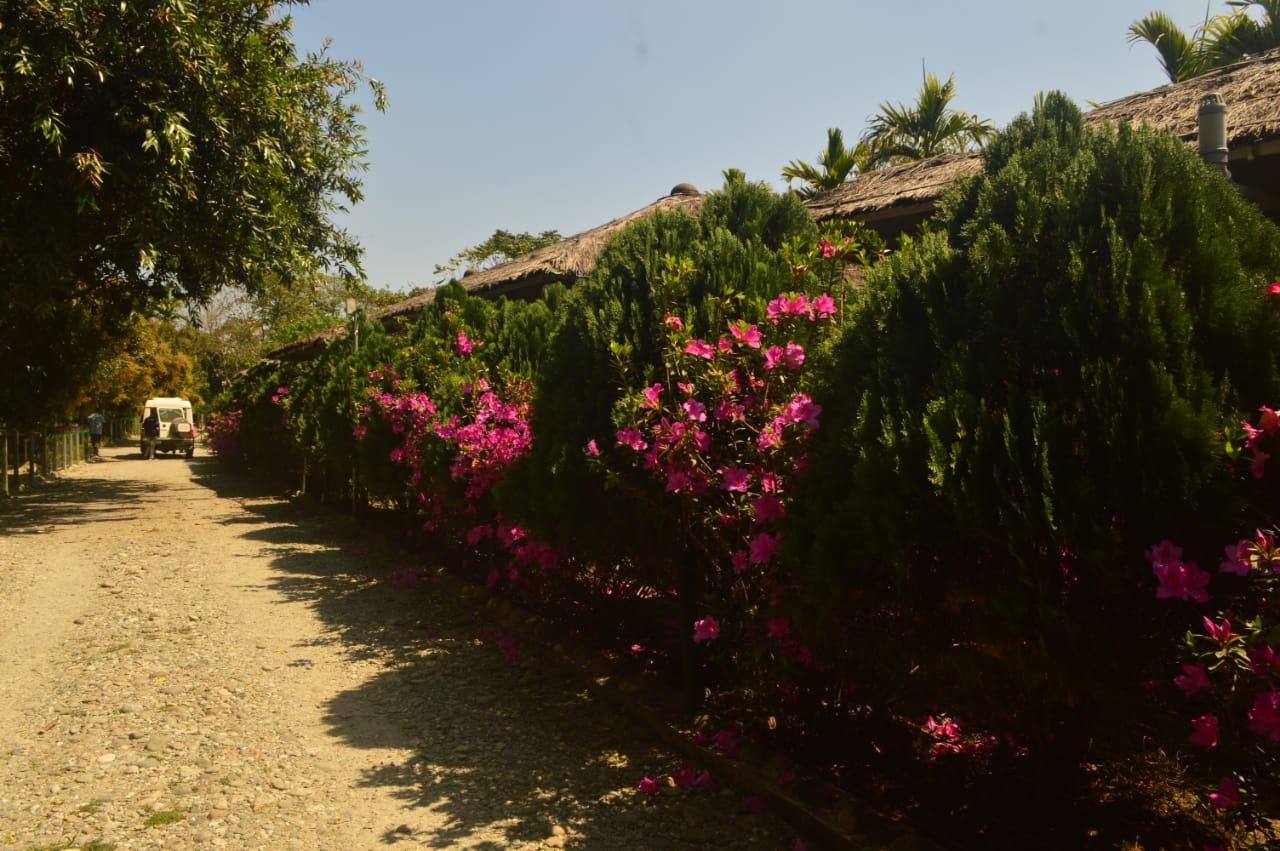 Gorumara Nest Bajos Resort