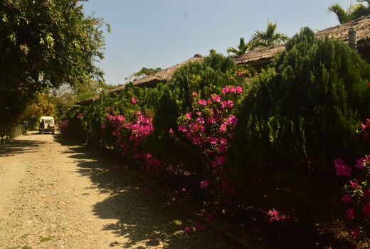 Gorumara Nest Bajos Resort