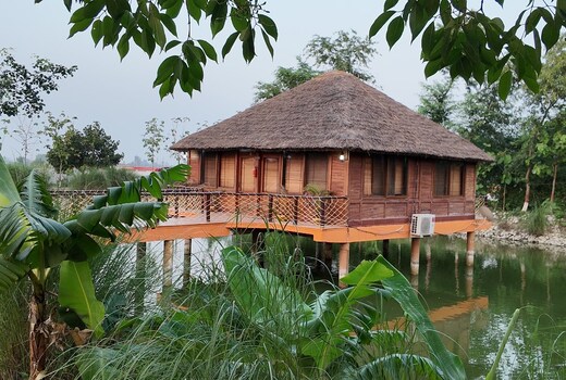 Jungle Heritage