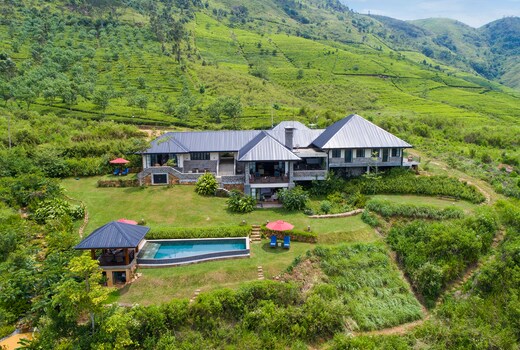 Camellia Hills