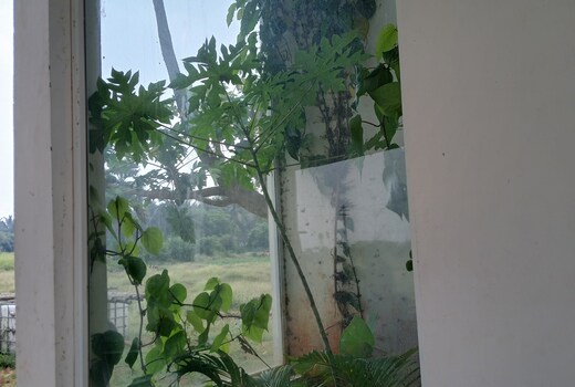Glass house