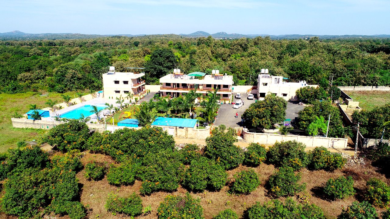 Wild wood Resort