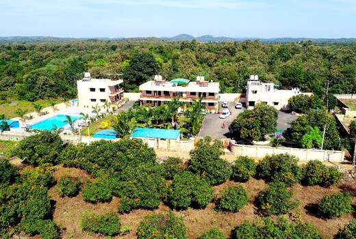 Wild wood Resort