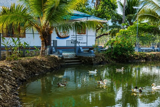 Kudaram Lake View
