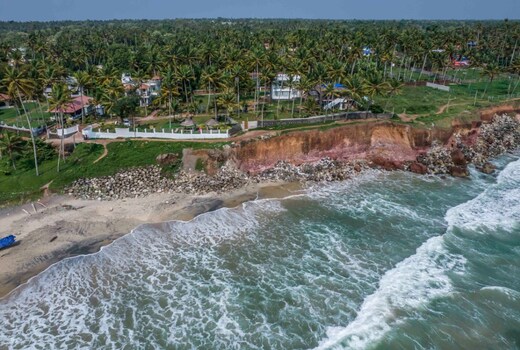 Coconut Cove