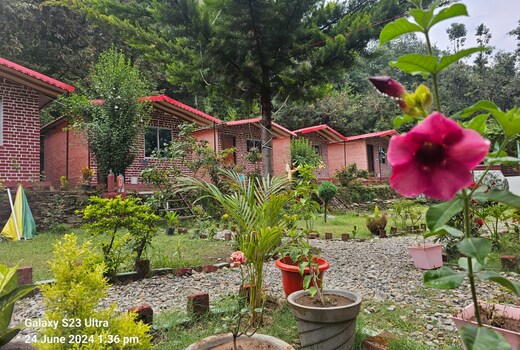 Shivaay Resort and Cottages