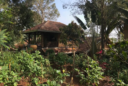 Vana at The Plenti House : Mindful Nilgiris