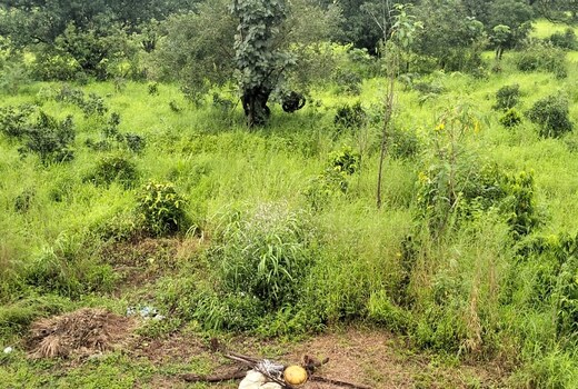 Raje Bhosale Farm House