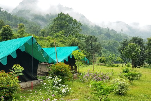 THE RAAJAS - CAMP & RESORTS