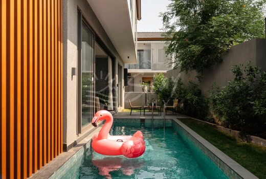 The Banyan Tree A4 by SOAL