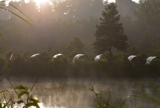 Camp Coorg Tents