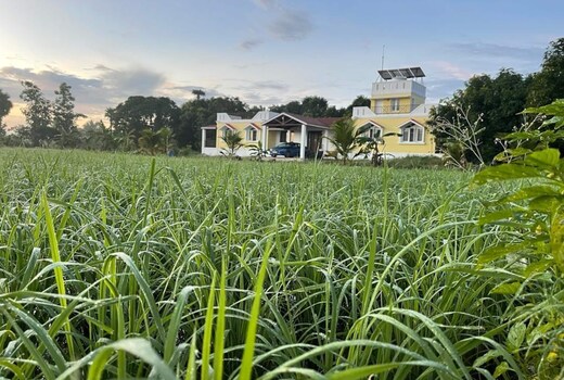 Gather For Green Organic Farmstay