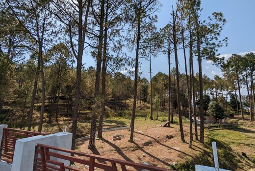 Dileas Resorts
