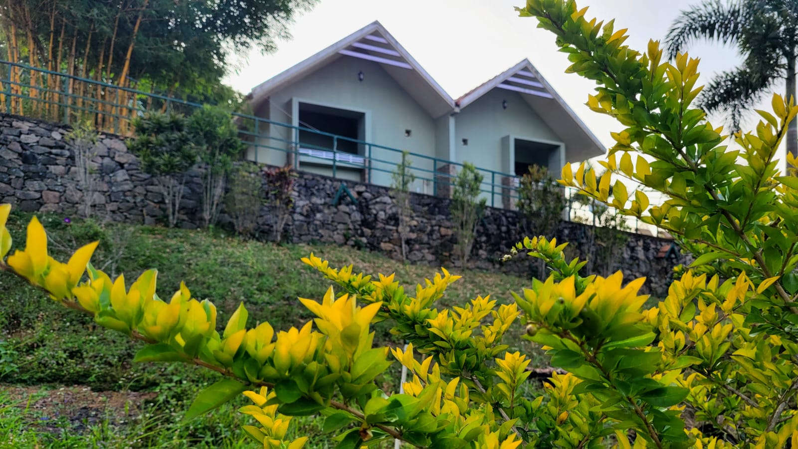 Calton Heights Cottages
