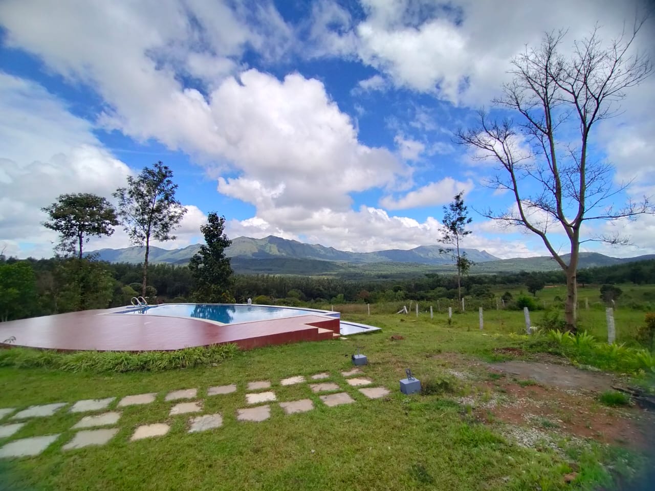Coffeeberry Hills