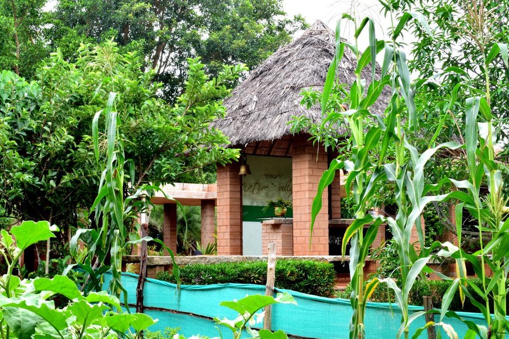 Our Native Village