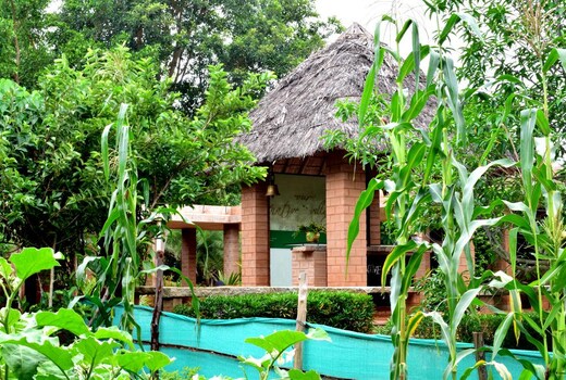 Our Native Village