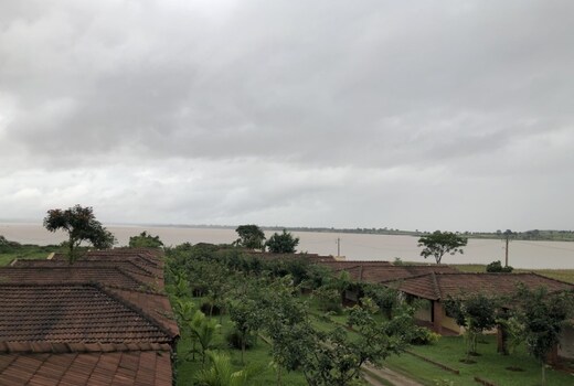 The Peepal Tree