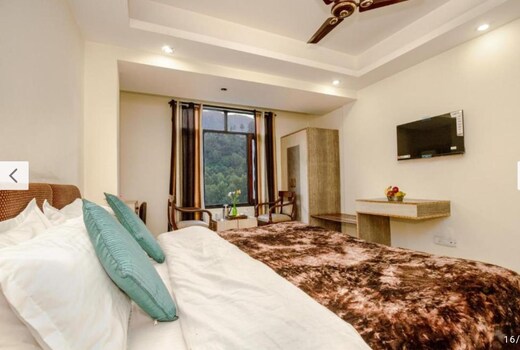 Hotel Ayaan Residency Manali