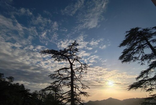 MnM Stays, Shimla