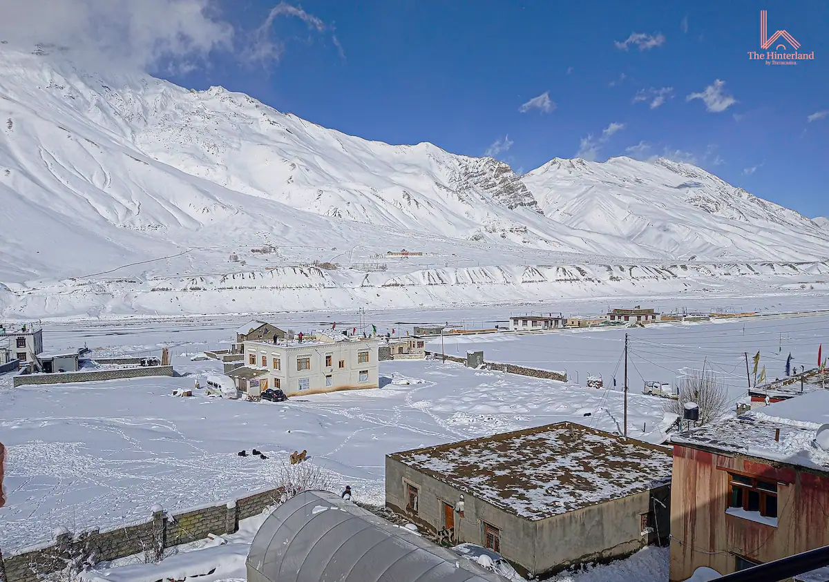 Ozz Spiti