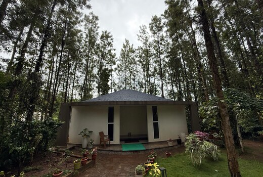 One Piece Homestay