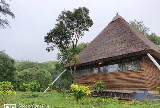 Red house home stay Forest in side