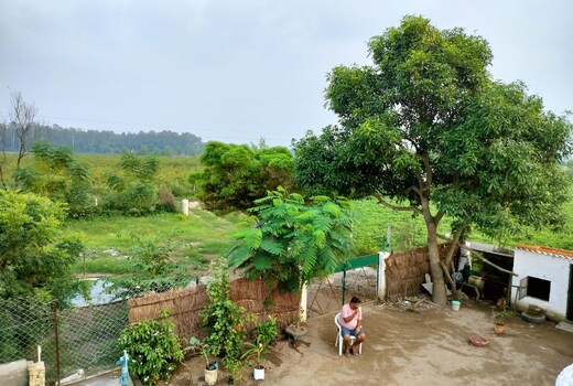 Baagh home, barahi