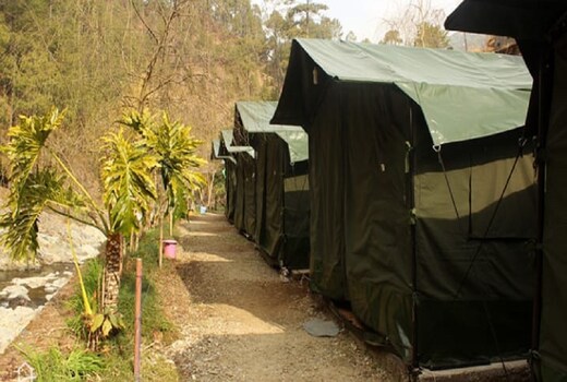 Camp Pine Riviera