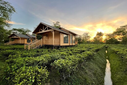 The Postcard in the Durrung Tea Estate, Assam