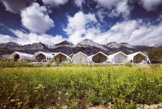Wonderland Camp Pangong Lake