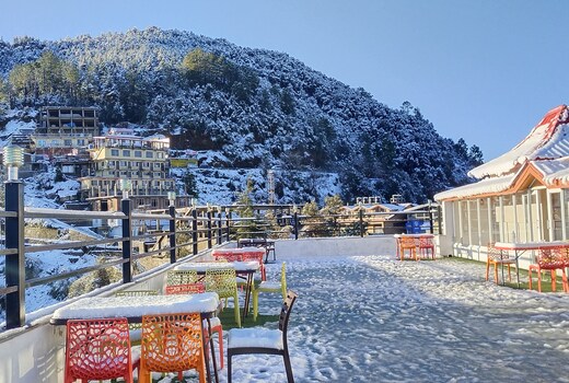 Regenta Resort MARS Valley View Shoghi ( Centrally Heated)
