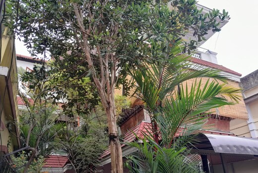 Beena Homestay