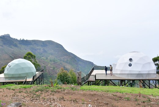 HILLSIDE ESCAPE GLAMPING