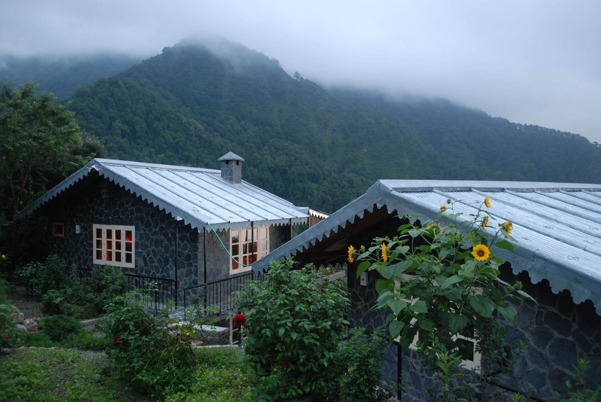 The Nest Cottages