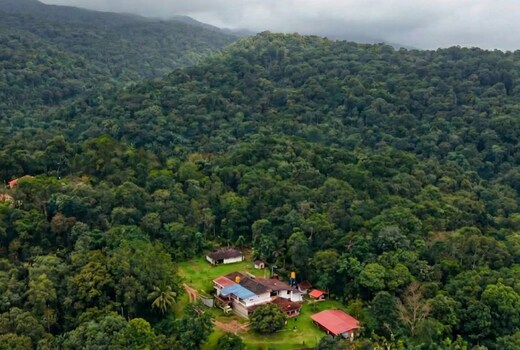 Private estate -Waterfall - Heritage home - Coorg