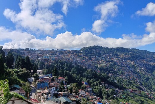 City lights bnb Homestay