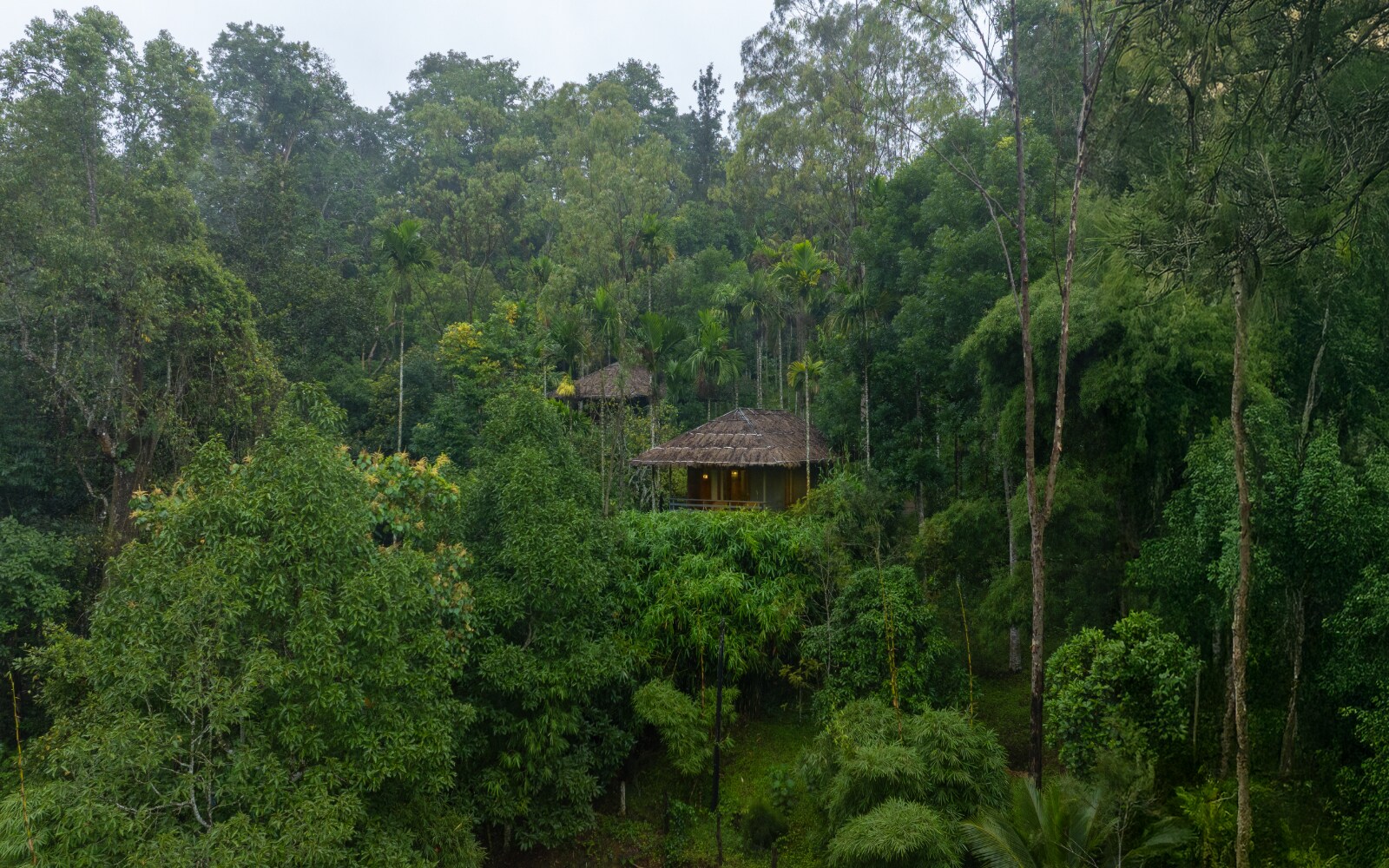 The Woods Resorts Wayanad
