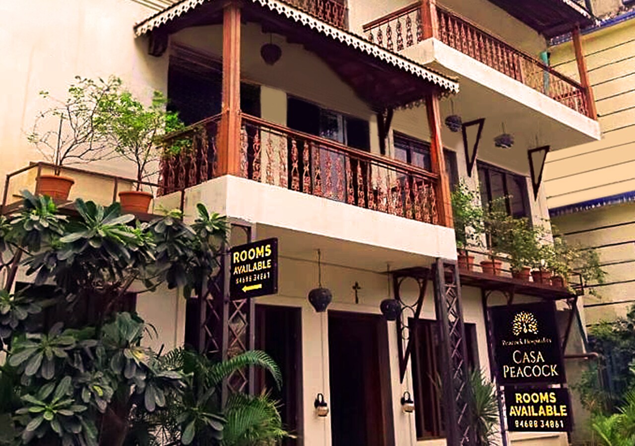 Casa Peacock
