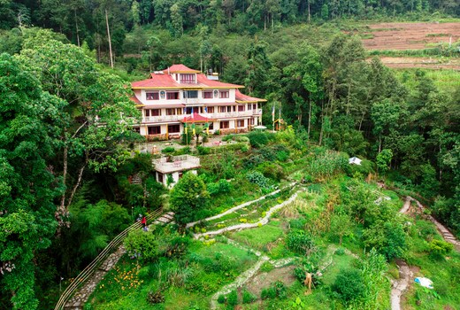 Bamboo Retreat
