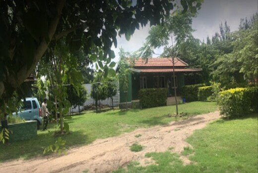 Mountain View Cottage