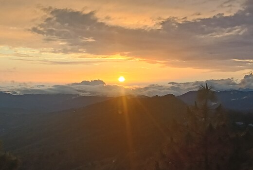 Rama Narayan Homestay