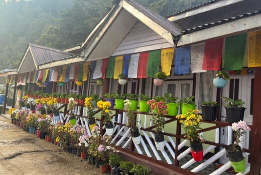 Bliss Tourism