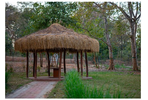 Mud House Oasis