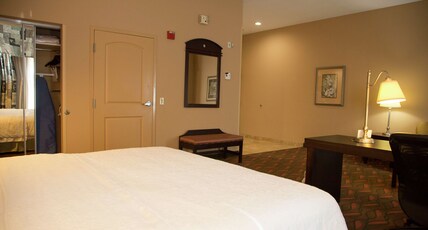 Hampton Inn and Suites Houston-Rosenberg Room Type - 1KING STUDY SOFABED NOSMOK