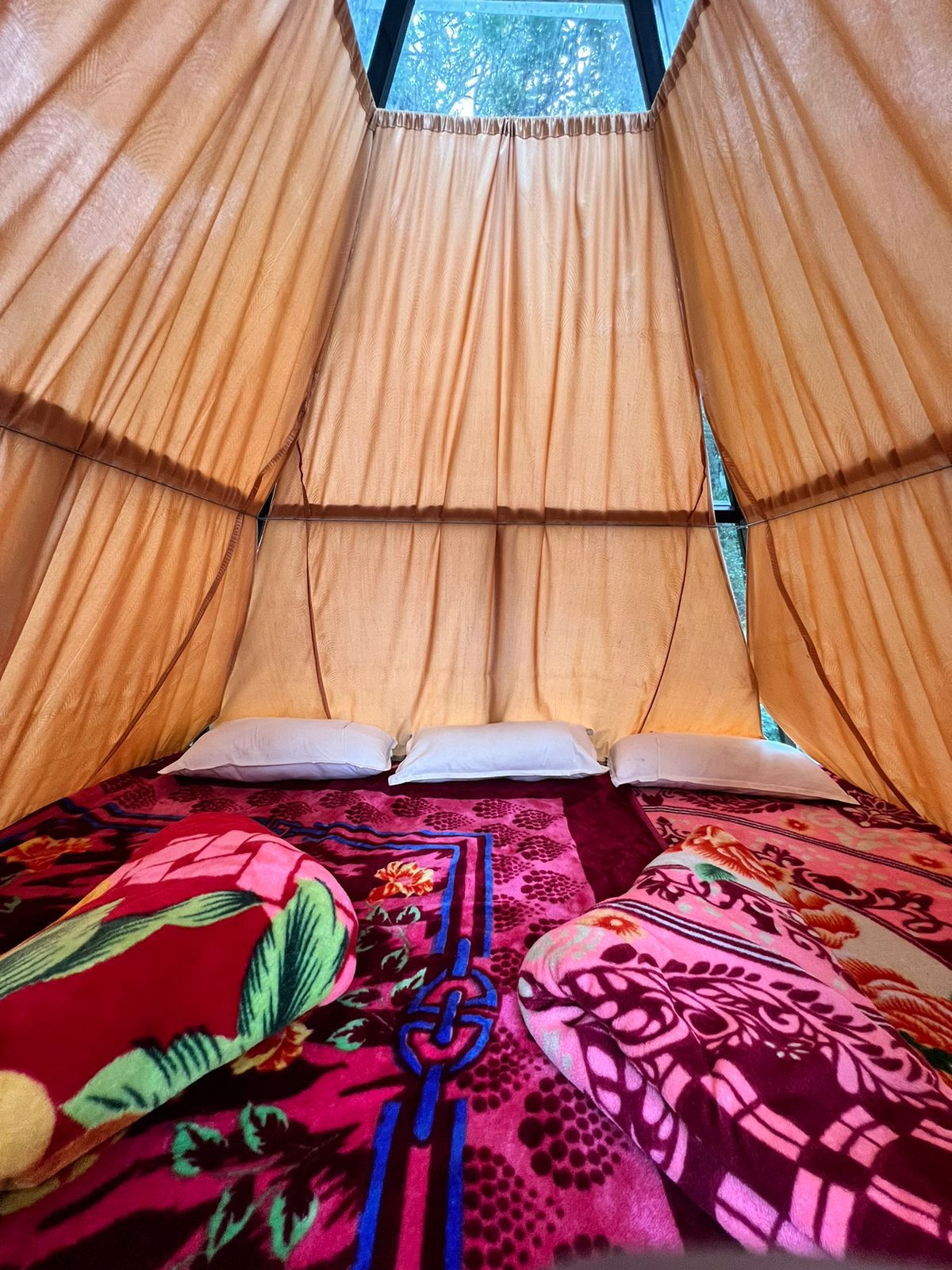 Riverside Cubicals Campsite, Suryanelli - Tap to explore photos